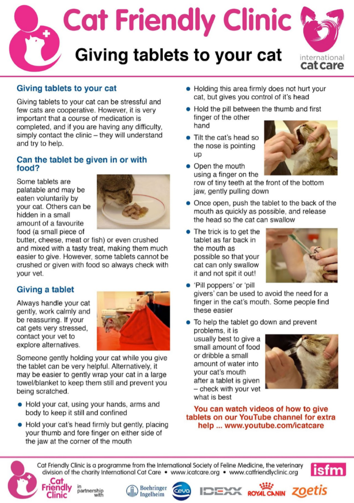 Giving Tablets to a cat