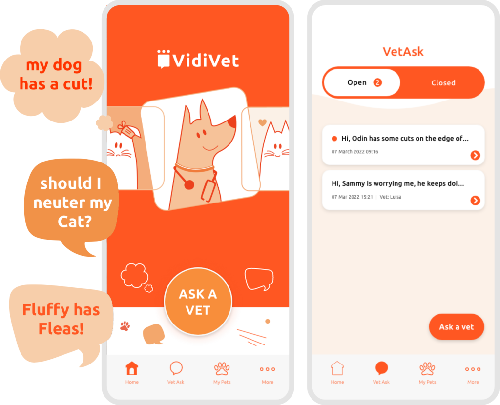 Vidivet