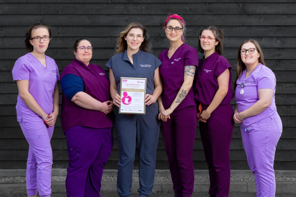 Graylands Cat Clinic is a Gold Cat Friendly Clinic