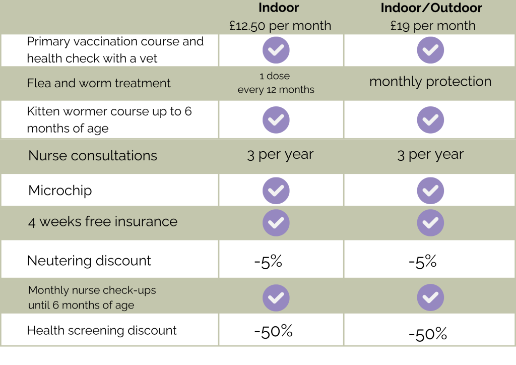 Kitten Healthcare Plan - Graylands Cat Clinic