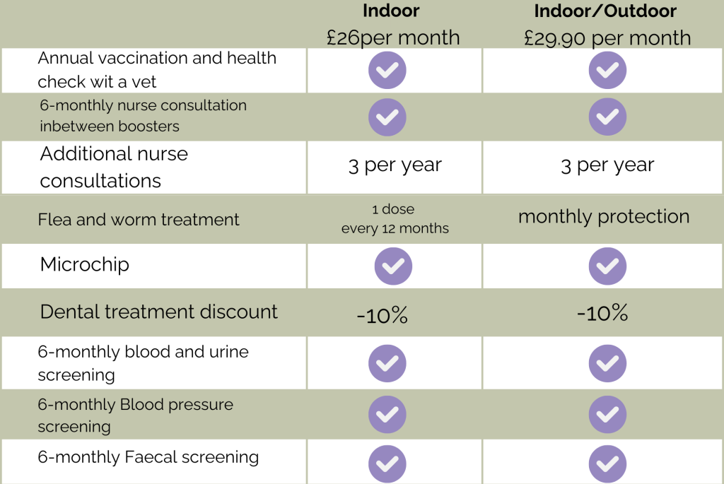 Senior Cat Care Plan - Graylands Cat Clinic