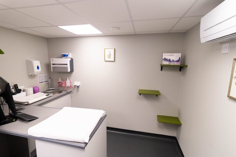 Graylands Cat Clinic -11