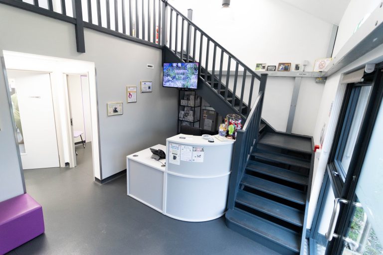 Graylands Cat Clinic -12