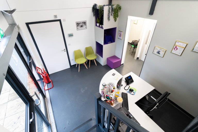 Graylands Cat Clinic -13