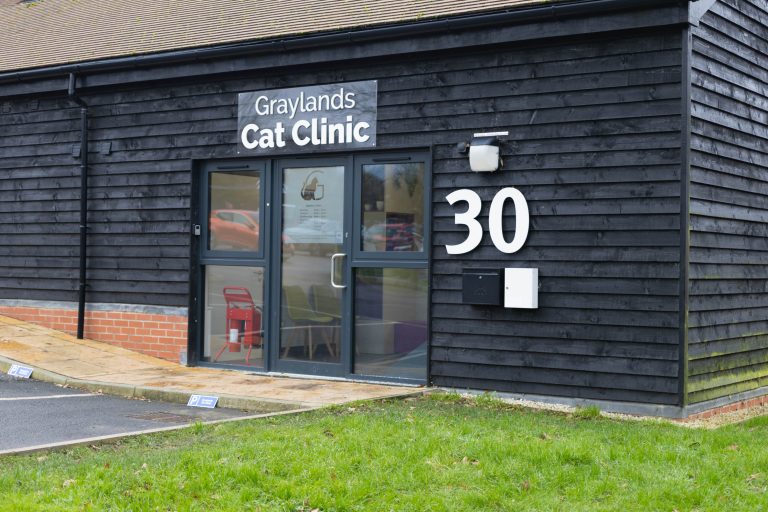 Graylands Cat Clinic -5